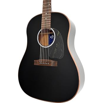 Amazon | アコースティックギター Sヤイリ S.YAIRI YAJ-1200 EB